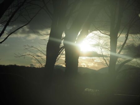 IMG_1833