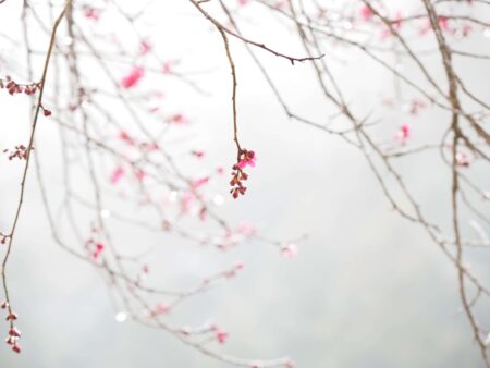 IMG_4820