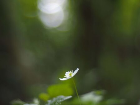 IMG_6694