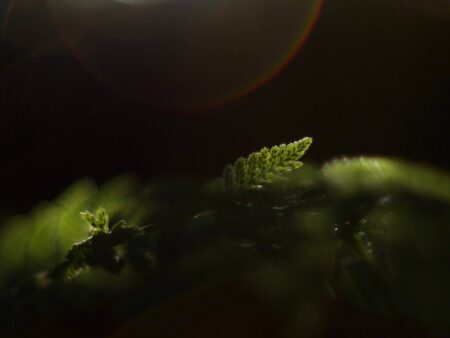 IMG_7674